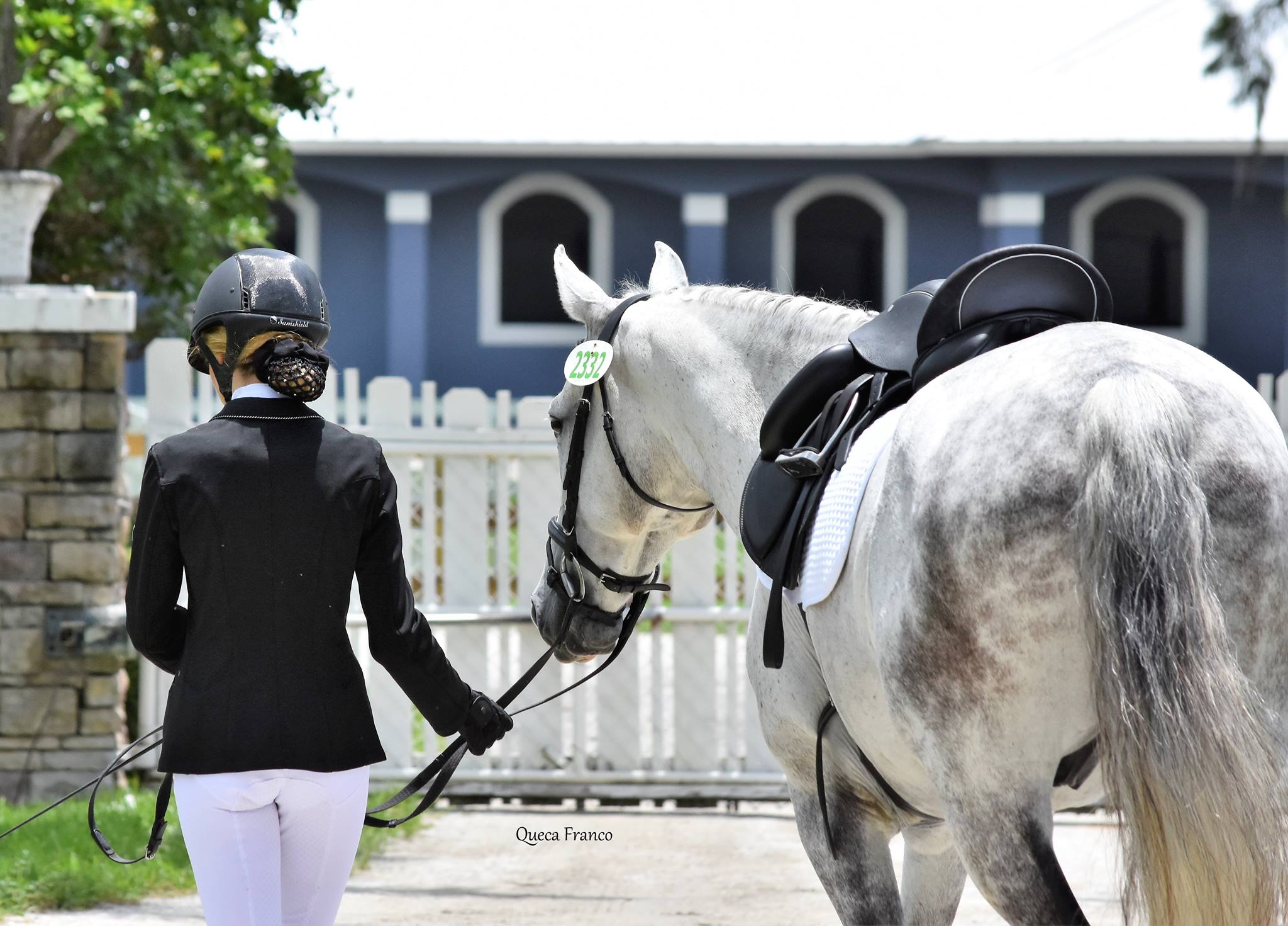 Horse Show Diaries: The Good, The Bad, The Ugly