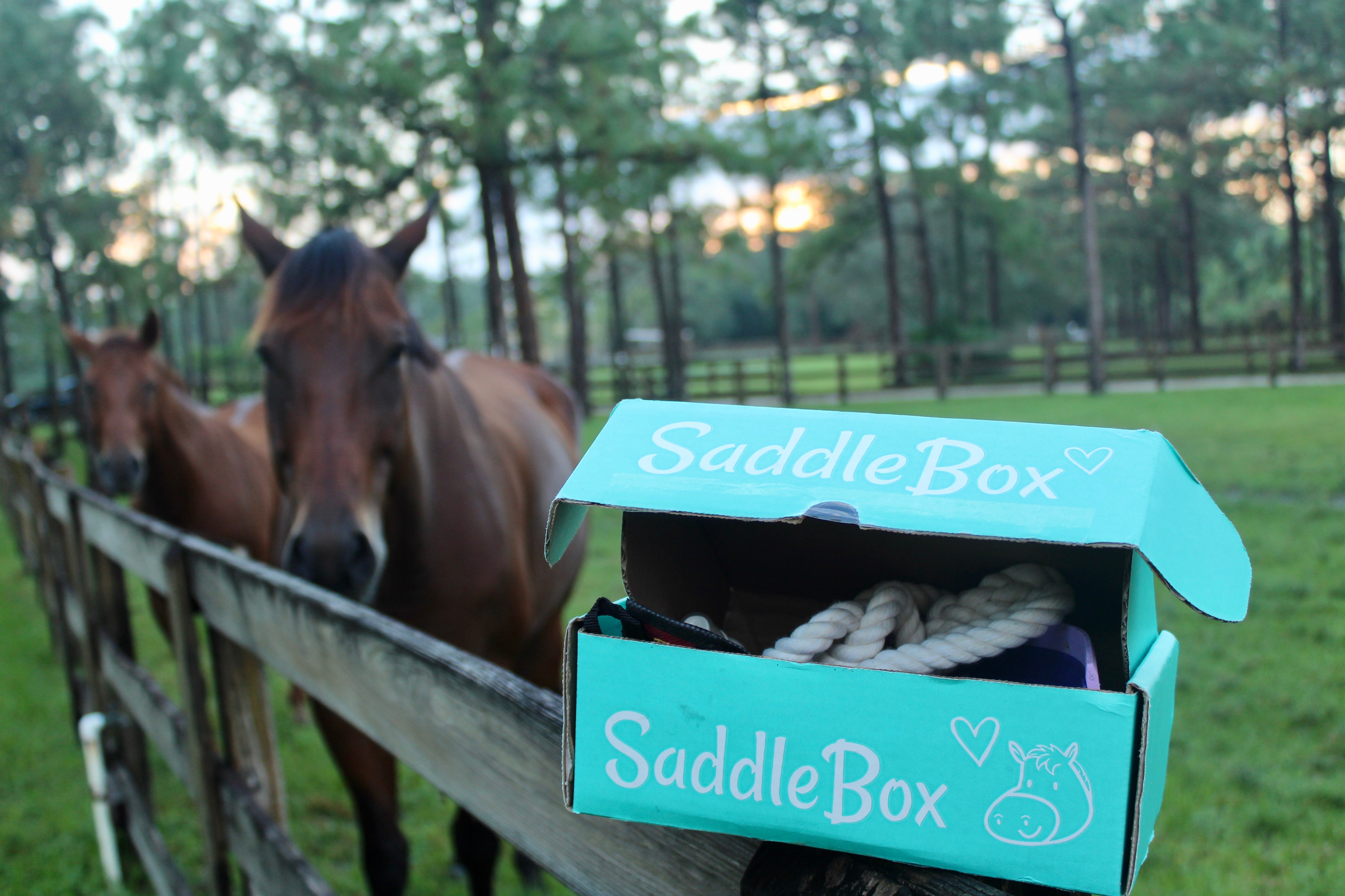 Product Preview: Saddle Box