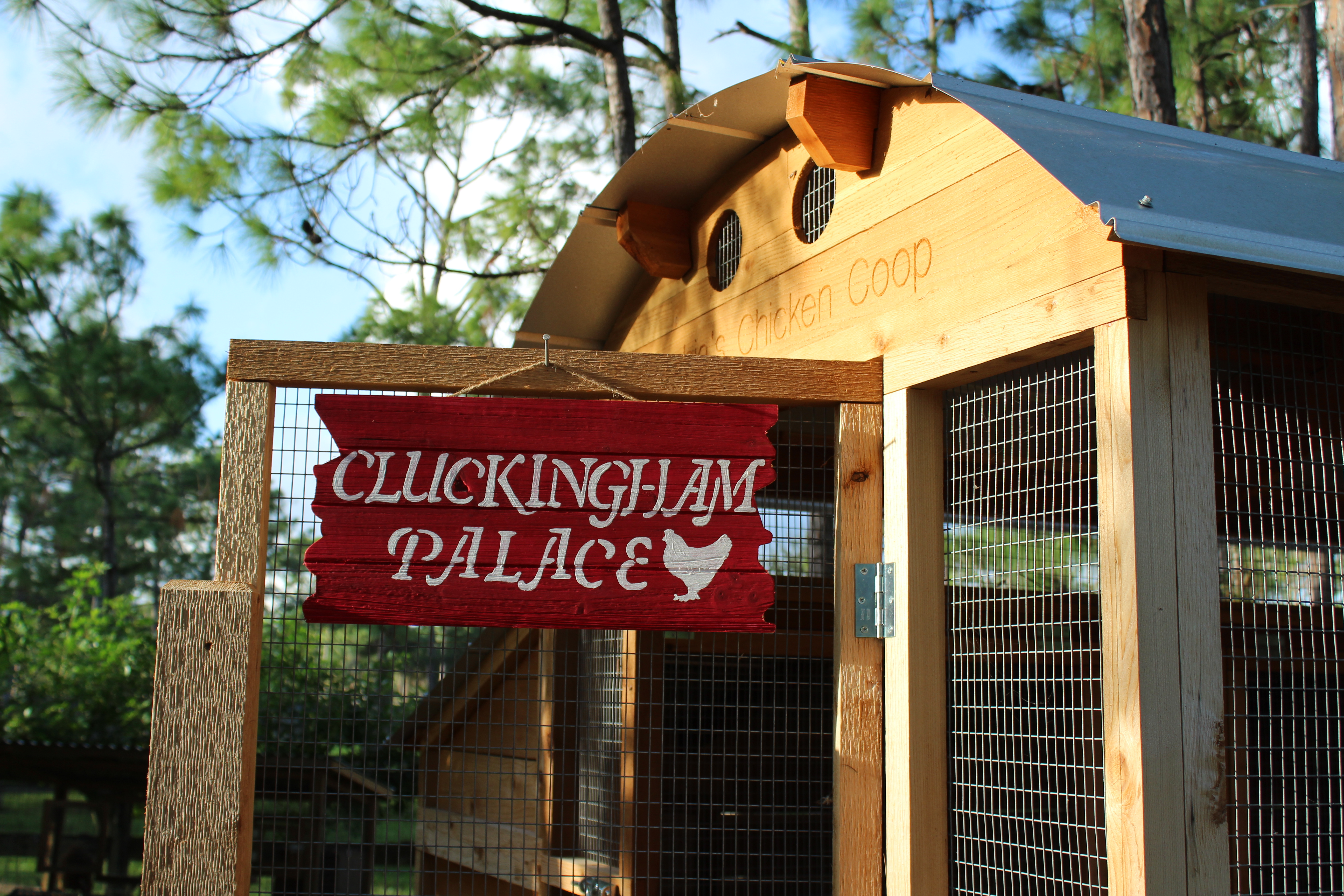 raising chickens, chicken coop decorations