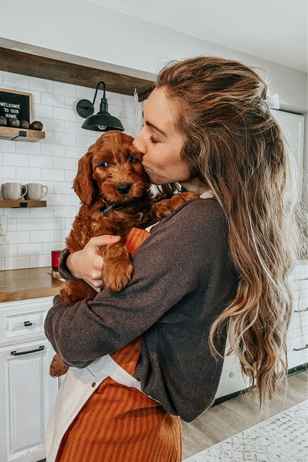 irish goldendoodle puppy